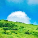 福建土楼永定景区 - 龙岩市旅游 缩略图 1