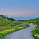 福建土楼永定景区 - 龙岩市旅游 缩略图 9
