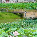 莲塘村公园 - 广州市旅游 缩略图 1