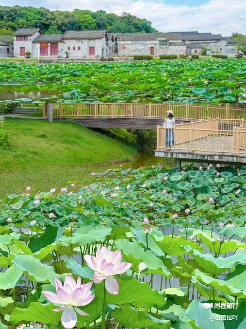 莲塘村公园 - 广州市旅游