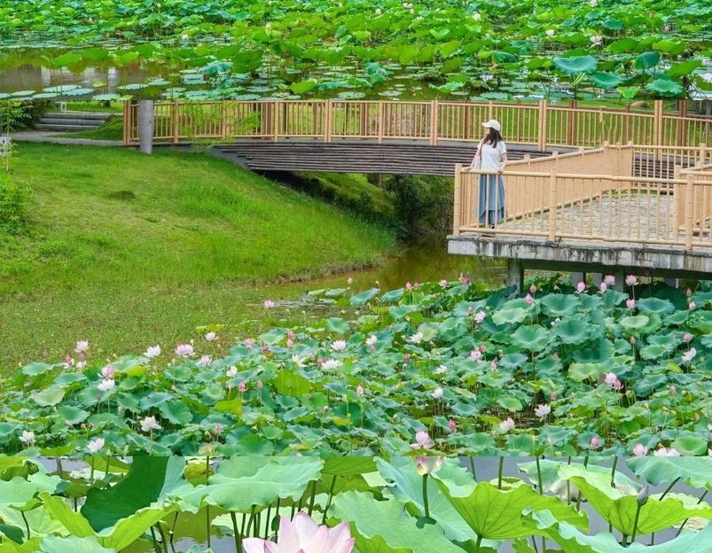 莲塘村公园 - 广州市旅游 1