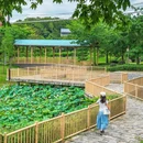 莲塘村公园 - 广州市旅游 缩略图 6