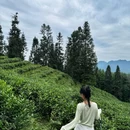 交垟土楼 - 温州市旅游 缩略图 2