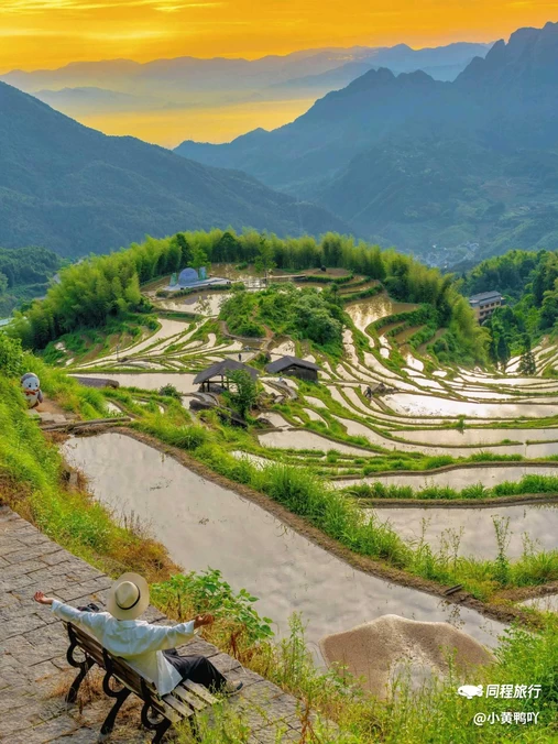 云和梯田景区 - 丽水市旅游