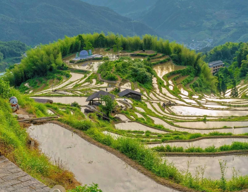 云和梯田景区 - 丽水市旅游 1
