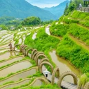 云和梯田景区 - 丽水市旅游 缩略图 4