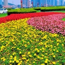 大连森林动物园 - 大连市旅游 缩略图 4