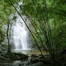 石寨下瀑布 - 广州市旅游 缩略图 4