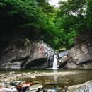 四川唐家河国家级自然保护区 - 广元市旅游 缩略图 4