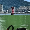 红星大都会-9栋 - 无锡市旅游 缩略图 4