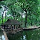 黑龙潭公园 - 昆明市旅游 缩略图 9