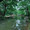 黑龙潭公园 - 昆明市旅游 缩略图 6