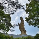 普陀山风景区 - 舟山市旅游 缩略图 4