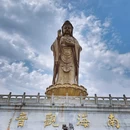 普陀山风景区 - 舟山市旅游 缩略图 1