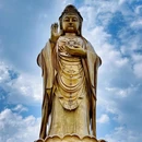 普陀山风景区 - 舟山市旅游 缩略图 6