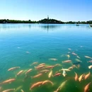 什刹海公园 - 北京市旅游 缩略图 2