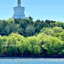 什刹海公园 - 北京市旅游 缩略图 3