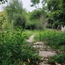 浦口凤凰山公园 - 南京市旅游 缩略图 6