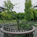 浦口凤凰山公园 - 南京市旅游 缩略图 4