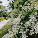 浦口凤凰山公园 - 南京市旅游 缩略图 3