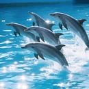哈尔滨极地公园 - 哈尔滨市旅游 缩略图 2
