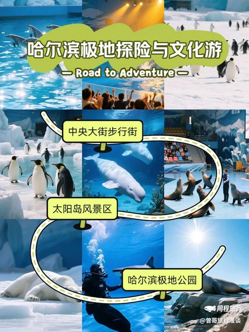 哈尔滨极地公园 - 哈尔滨市旅游