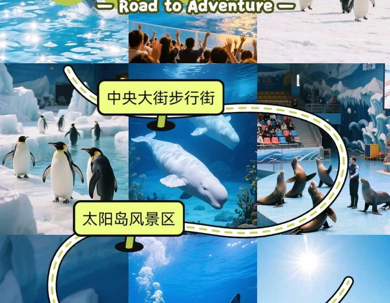 哈尔滨极地公园 - 哈尔滨市旅游 1