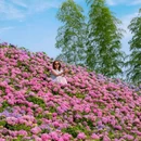 兰亭古筑好时光梦幻花园 - 绍兴市旅游 缩略图 1