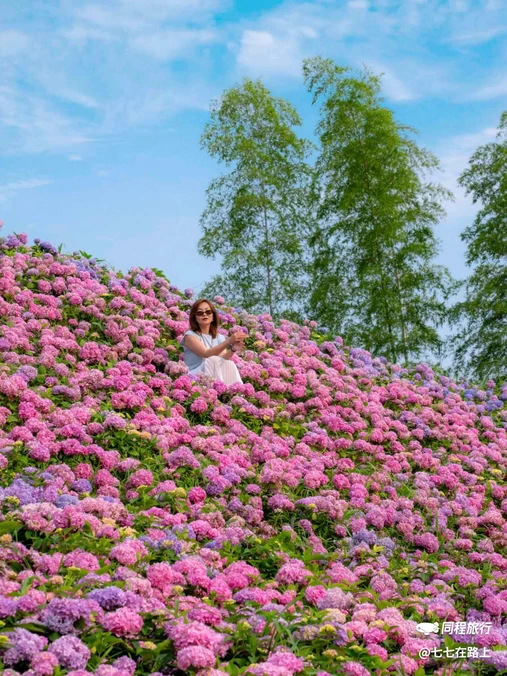 兰亭古筑好时光梦幻花园 - 绍兴市旅游