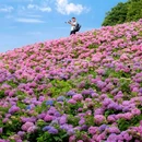 兰亭古筑好时光梦幻花园 - 绍兴市旅游 缩略图 5