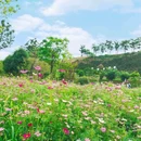 兰亭古筑好时光梦幻花园 - 绍兴市旅游 缩略图 9