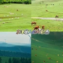 回山里·Rewild民宿 - 承德市旅游 缩略图 9