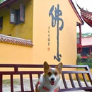 无锡阳山花间堂·桃花岛 - 无锡市旅游 缩略图 9