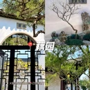 苏州博物馆 - 苏州市旅游 缩略图 4