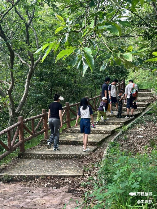 八分山 - 武汉市旅游