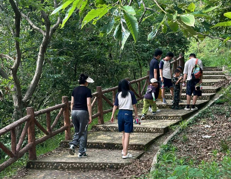八分山 - 武汉市旅游 1