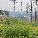 八分山 - 武汉市旅游 缩略图 7