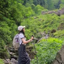 尖尖树 - 成都市旅游 缩略图 9