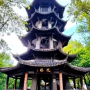 西溪国家湿地公园 - 杭州市旅游 缩略图 3