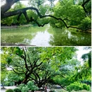 西溪国家湿地公园 - 杭州市旅游 缩略图 1