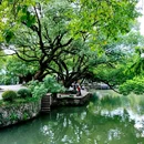 西溪国家湿地公园 - 杭州市旅游 缩略图 7