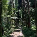 二王庙 - 成都市旅游 缩略图 7