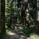 二王庙 - 成都市旅游 缩略图 8