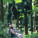 二王庙 - 成都市旅游 缩略图 6