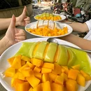 告庄东西双塔 - 西双版纳傣族自治州旅游 缩略图 6