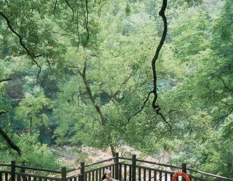 南温泉广场 - 重庆市旅游 1