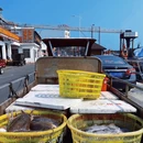 爱华酒店(海南琼海市中心高铁站万泉河店) - 琼海市旅游 缩略图 5