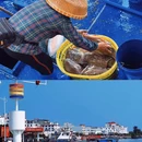 爱华酒店(海南琼海市中心高铁站万泉河店) - 琼海市旅游 缩略图 6