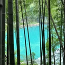 梅坞村村民委员会 - 绍兴市旅游 缩略图 5