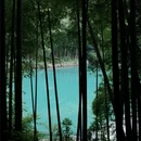梅坞村村民委员会 - 绍兴市旅游 缩略图 8